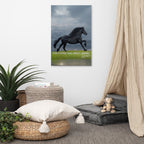 Horse Genes Canvas Wall Art
