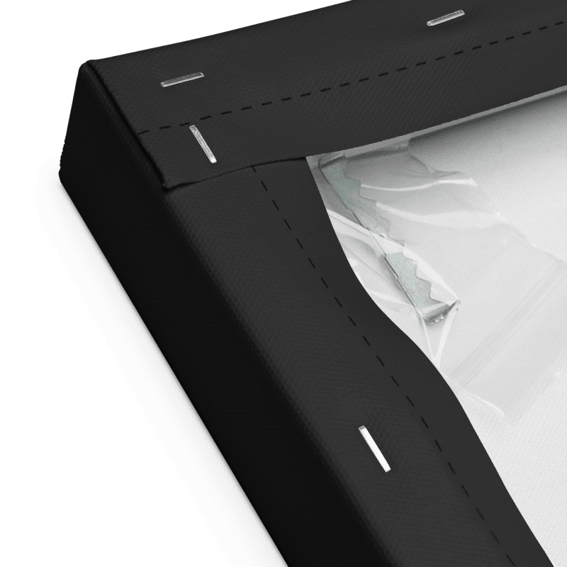 Horse Genes Canvas Wall Art