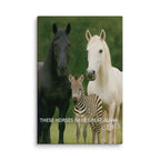 Horse Genes Canvas Wall Art